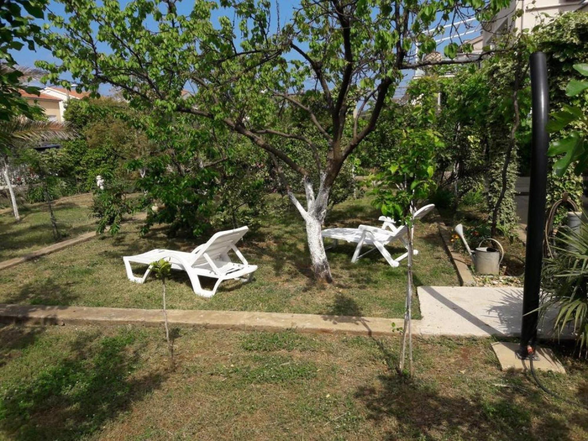 Apartments Amalia Zadar Phòng bức ảnh